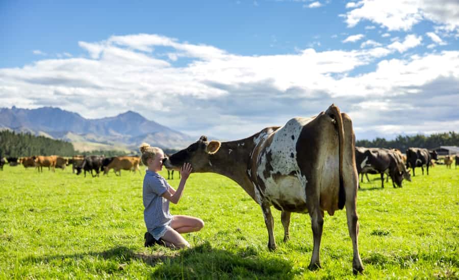 Moo'ving Dairy Forward